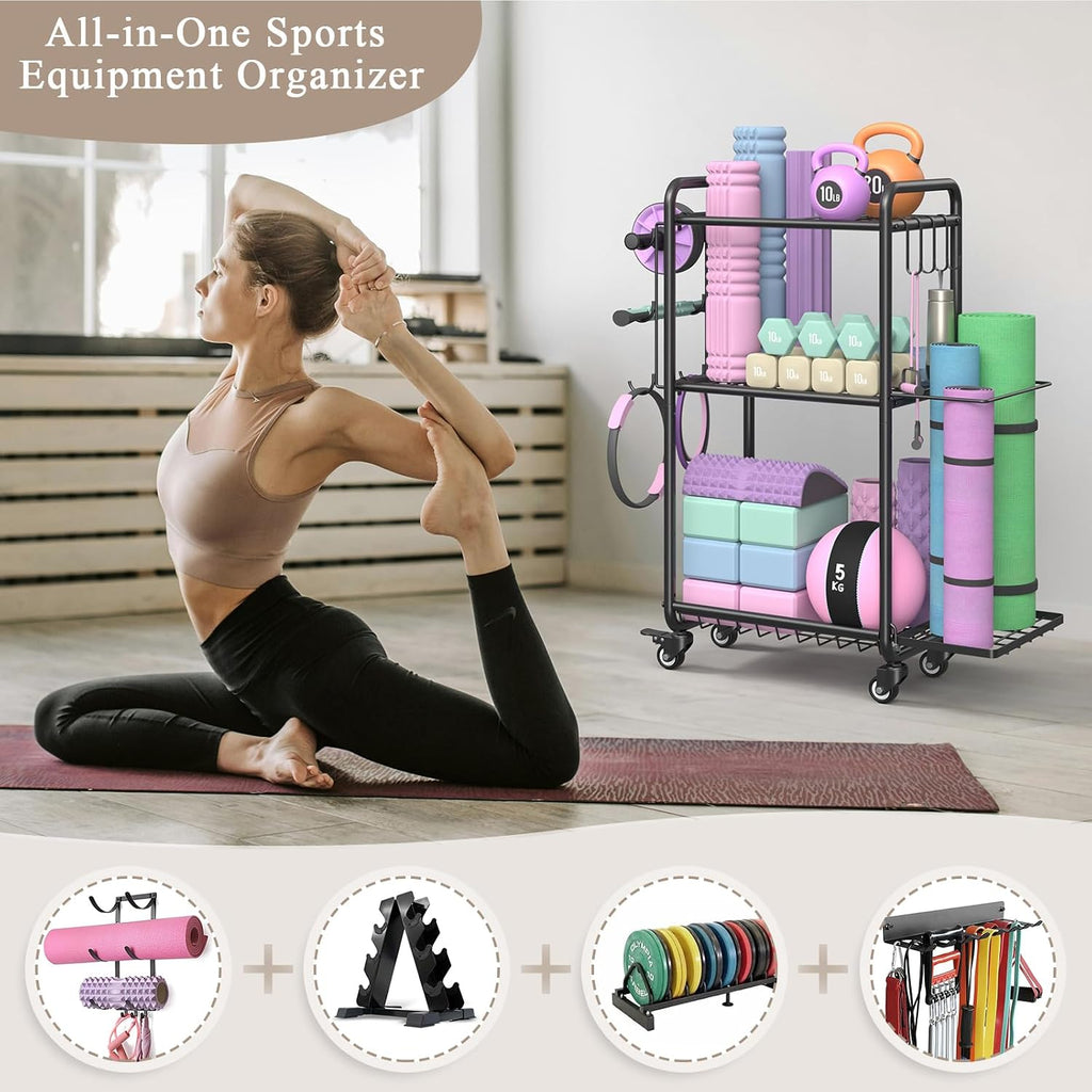 Multi-Functional Steel Gym Storage Rack